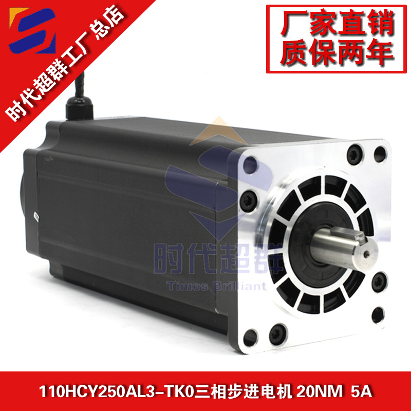110HCY250AL3-TK0׈D.jpg