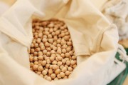 如何開設交易開拓者賬戶？這種賬戶類型有哪些特點和優勢？