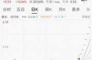連續漲停又跌停！一批公司提示風險