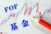 如何利用基金分散投資降低整體風(fēng)險？