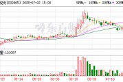 豐元股份：公司及控股子公司不存在逾期債務對應的擔保