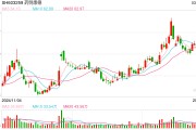 藥明康德預計今年TIDES業務營收增超六成，未用AI來開發新藥