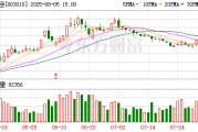 若羽臣：籌劃發行H股股票并在香港聯合交易所有限公司上市