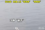 西湖驚現女子"躺平式"求救，救援人員迅速反應成功施救