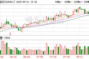 威奧股份：宿青燕累計質(zhì)押公司股份數(shù)量為6550萬股