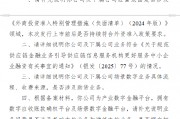 中企云鏈港股IPO收到證監會反饋意見：需說明外資準入、業務合規及資質許可等問題