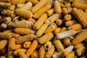 如何分析銅價上漲現象？背后的推動因素是什么？