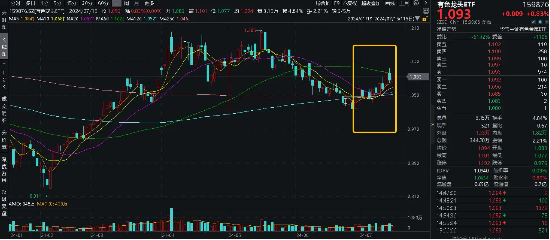 業績“點贊”！洛陽鉬業歸母凈利預增6-7倍，黃金個股業績預喜，有色龍頭ETF（159876）盤中逆市上探1.57%