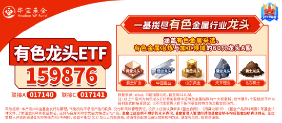 業績“點贊”！洛陽鉬業歸母凈利預增6-7倍，黃金個股業績預喜，有色龍頭ETF（159876）盤中逆市上探1.57%