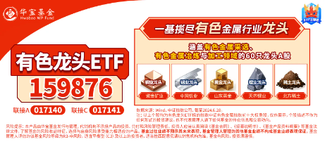逆市漲超2%！有色龍頭ETF（159876）霸居全市場ETF漲幅榜前十！銅、鋁、黃金攜手狂飆，紫金礦業(yè)漲逾4%