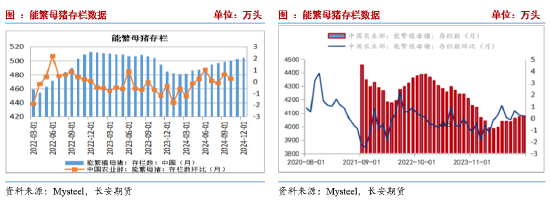 長(zhǎng)安期貨劉琳：增儲(chǔ)政策后基本面變化有限 臨近春節(jié)玉米市場(chǎng)或有降溫