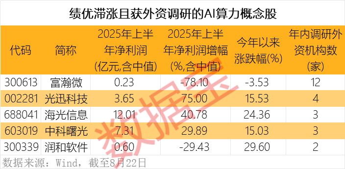 算力股業績大爆發 5只滯漲股獲外資關注