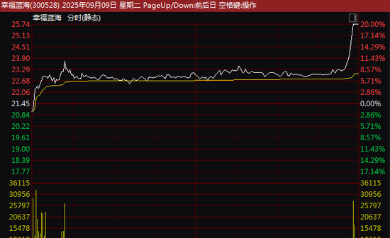 這一板塊，尾盤猛拉！